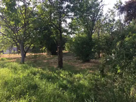 Eladó telek, Békéscsaba 850 m² 5 M Ft